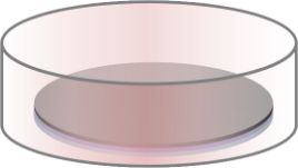 Thermal Process