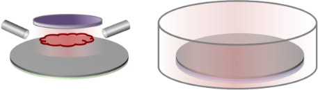 Thermal Processes