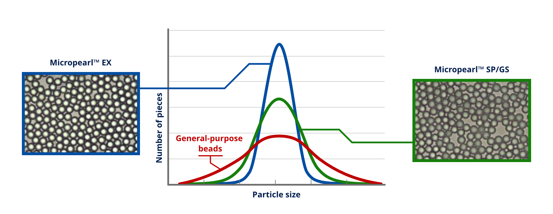 Particle size