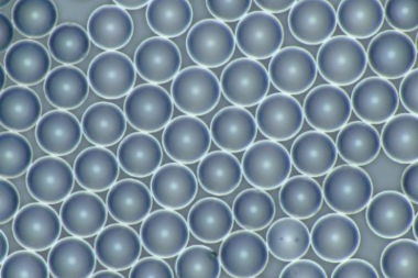 プラスチック系高機能フィラー ミクロパール™ 粒子